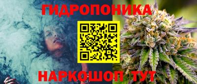 амф Балахна