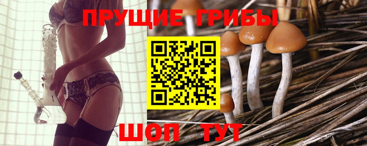 Псилоцибиновые грибы прущие грибы Донской